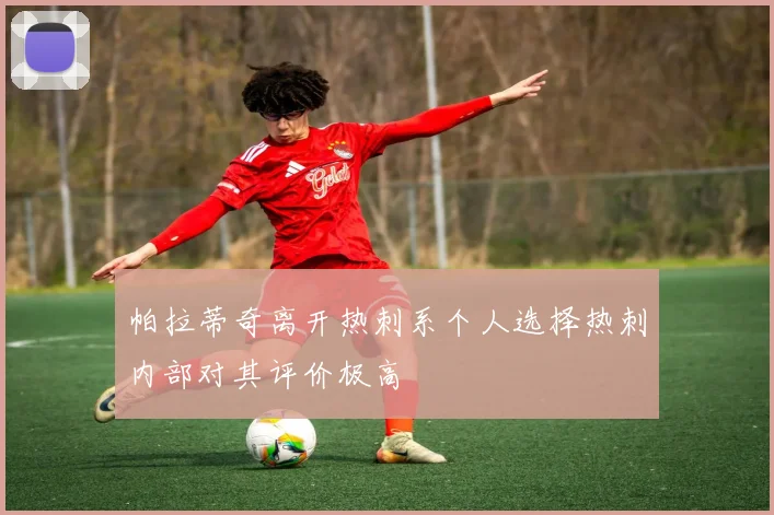 帕拉蒂奇离开热刺系个人选择热刺内部对其评价极高