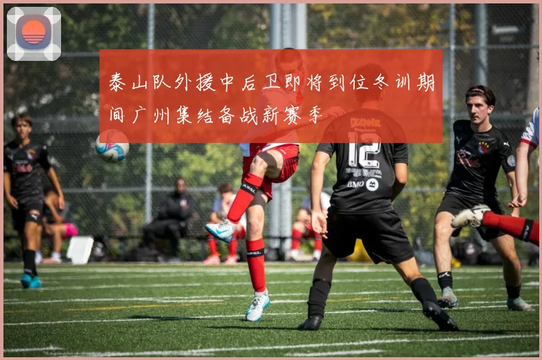 泰山队外援中后卫即将到位冬训期间广州集结备战新赛季